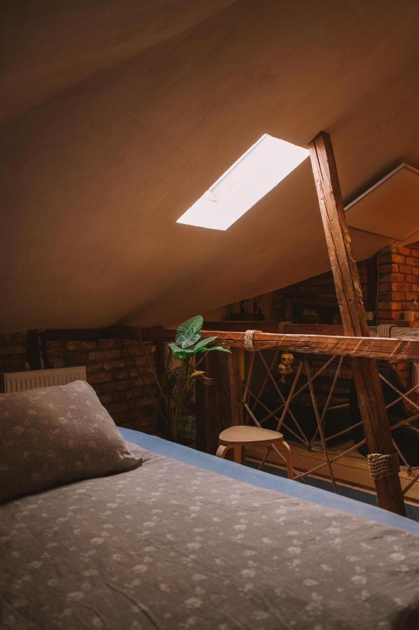 The House A La Cluj 빌라 외부 사진